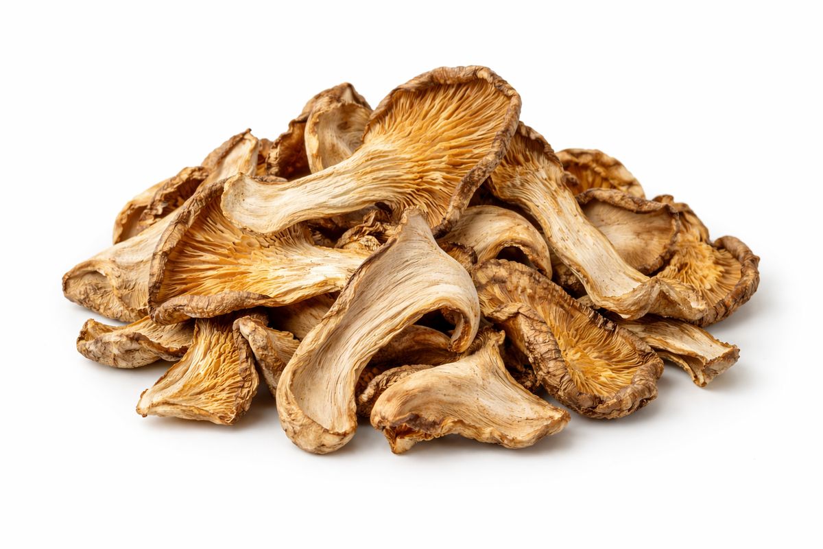 Austernpilze – getrocknet